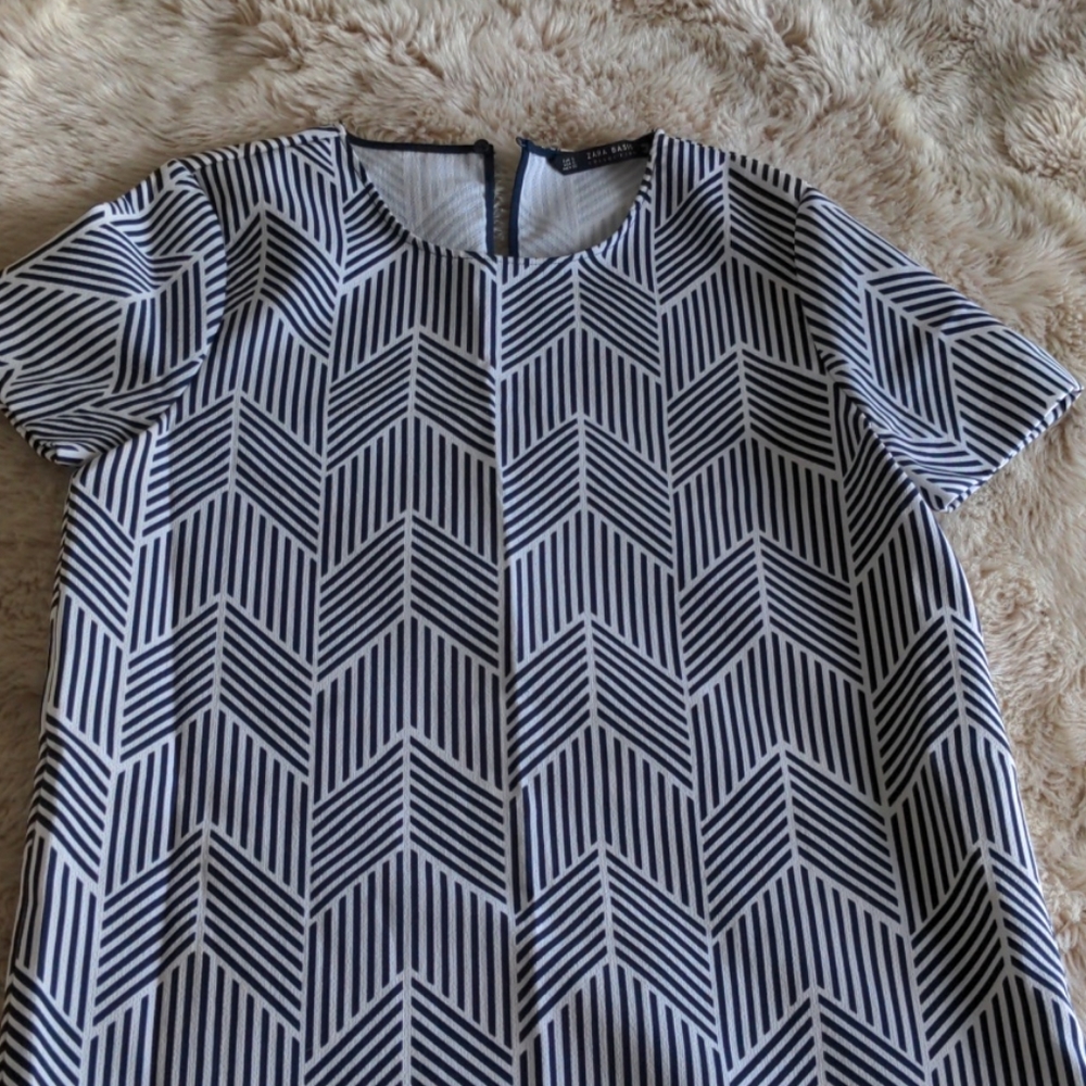 Zara Printed Shirt Dress